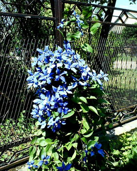 DSC00760