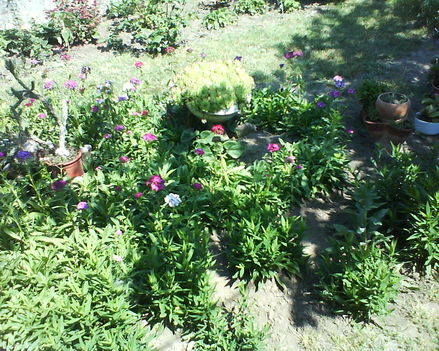 DSC00763