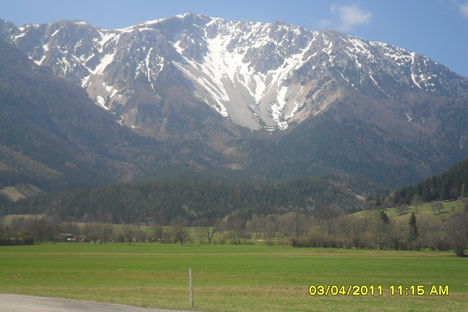 SAM_0663