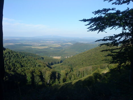 DSC00817