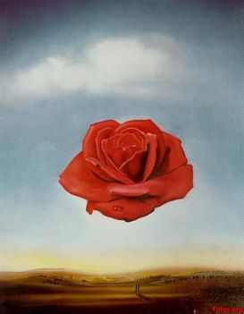 Salvador-Dali-Meditative-Rose