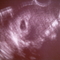 SUC30028