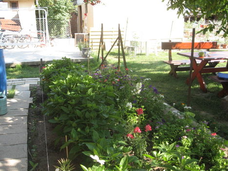2011