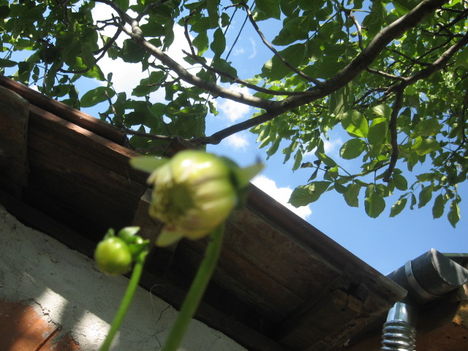 2011