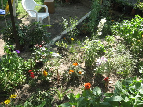 2011