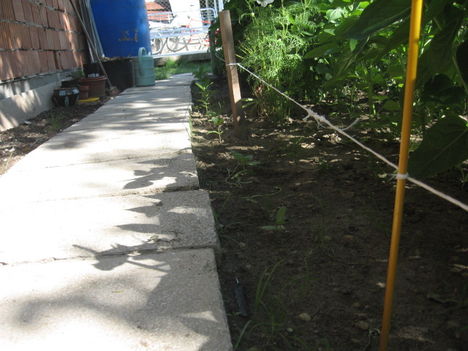 2011