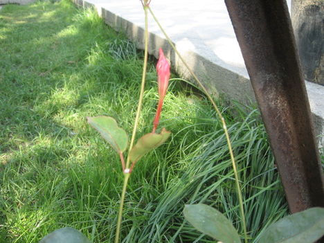 2011