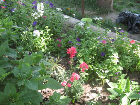 2011