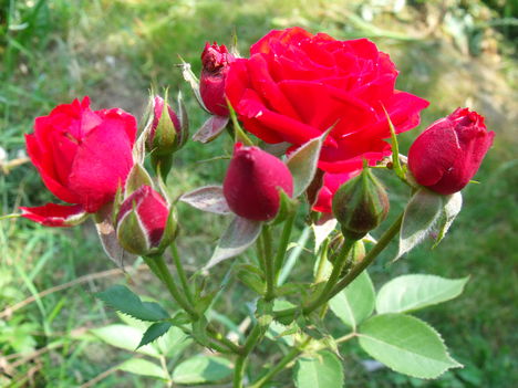 2011_06150022