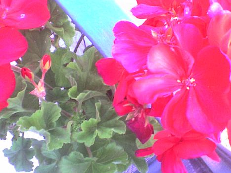 DSC00024