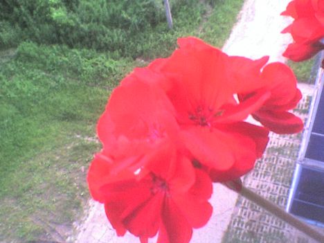 DSC00034