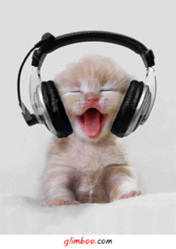 fülhallgatós cica