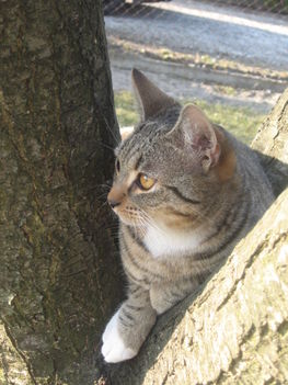 Kép2011.02.12
