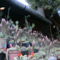 PICT4717