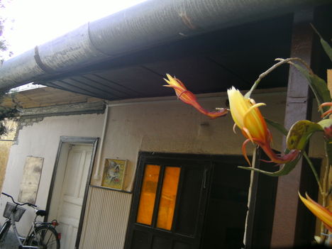 PICT4725