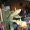 PICT4728