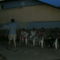 PICT4743