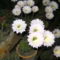 PICT4750