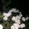 PICT4762