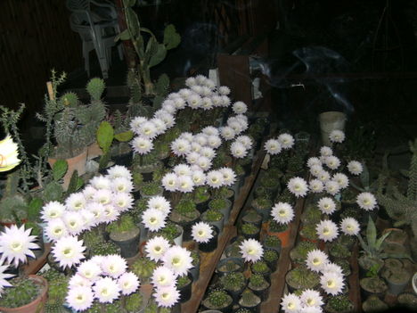 PICT4765