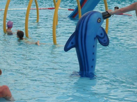 Delfin a gyermekmedencében