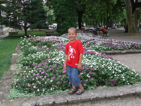 2008 Balatonon Közös nyaralás