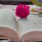 SAM_1688