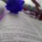 SAM_1693