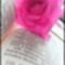 SAM_1694