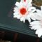 SAM_1718