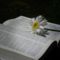SAM_1738