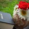SAM_1755