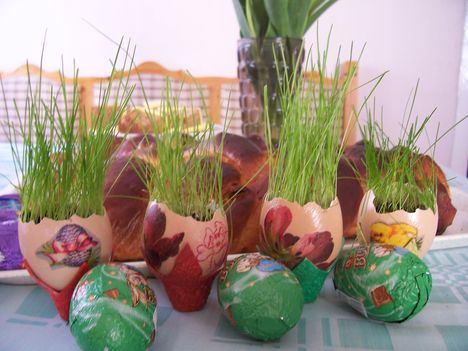 húsvéti füves tojás