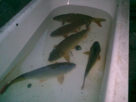 20110326_001