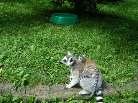 DSC00065