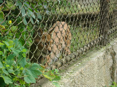 DSC00068