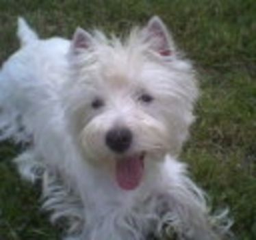 lola5