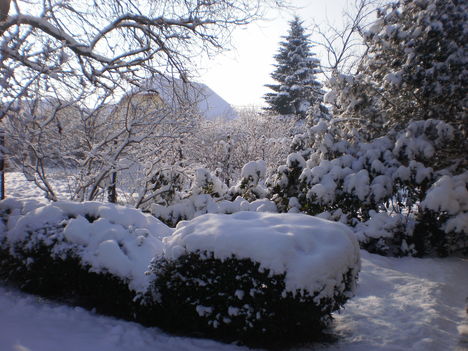 Tél 2010
