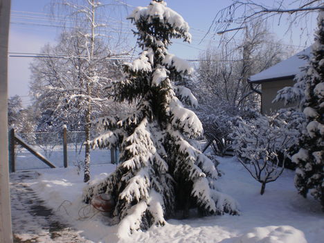 Tél 2010