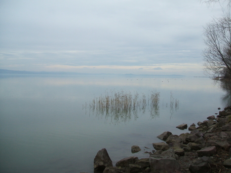 Trópusi tél a Balatonon