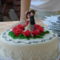 a Torta