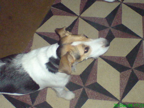 DSC00083