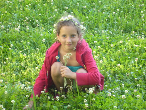 Picture 013