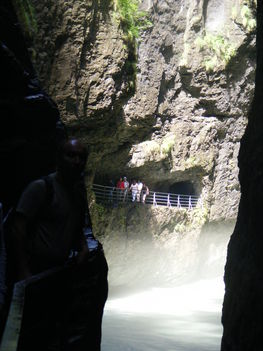 2008_08050264