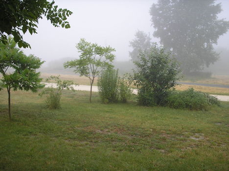 Tájkép reggeli köd