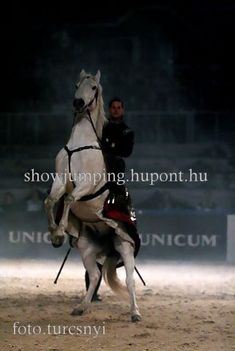 Lángoló Lovas Show 18 IMG_0023