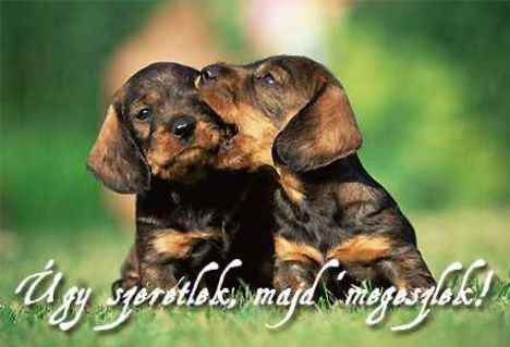 Úgy szeretlek,majd meg eszlek