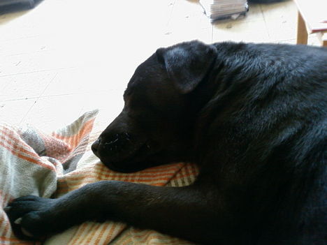 Drágaságom pihizik