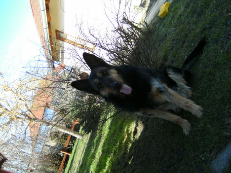 BILD0013