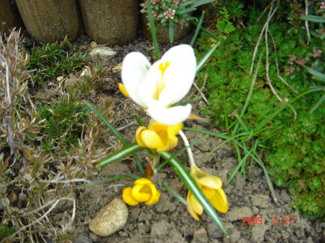 DSC07731